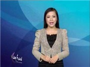 Bóng đá anh, ngoại hạng anh, lịch thi đấu euro 2012, Bản tin Văn hóa toàn cảnh ngày 28/11/2011
